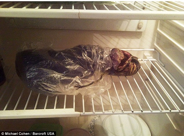 Picture 3 of Keep the 'alien creature' in the refrigerator