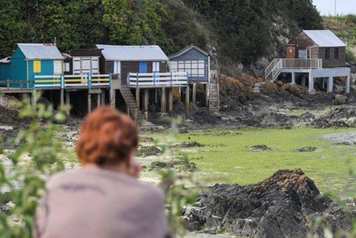Picture 1 of Killing algae in a snap appearing on six French beaches