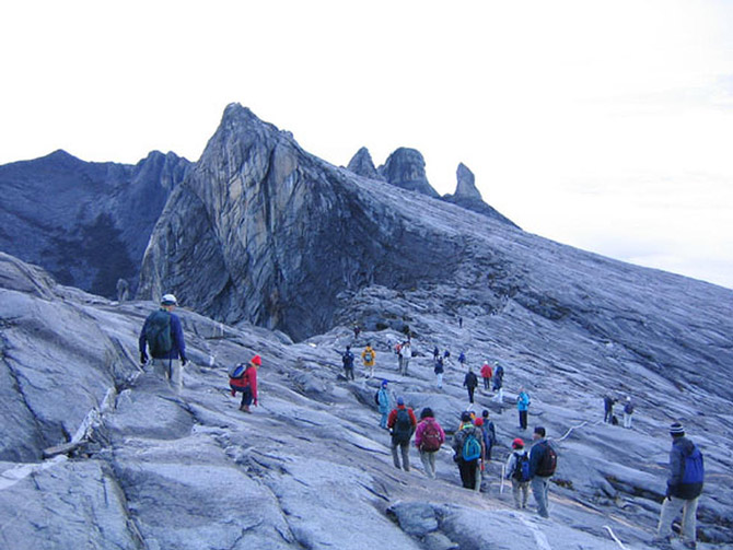 Picture 10 of Kinabalu National Park - Malaysia