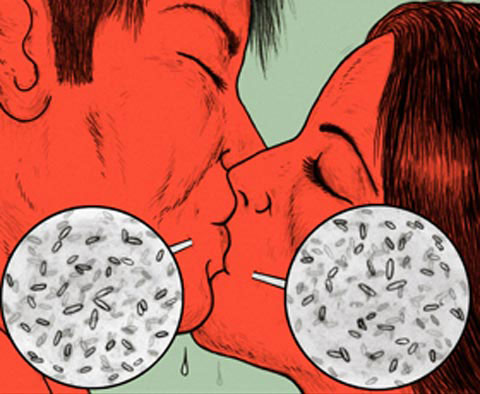 Picture 4 of Kiss from a scientific perspective