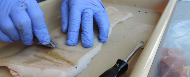 Picture 3 of Knife made from feces: The improvisation of man or the big trick in 20 years?