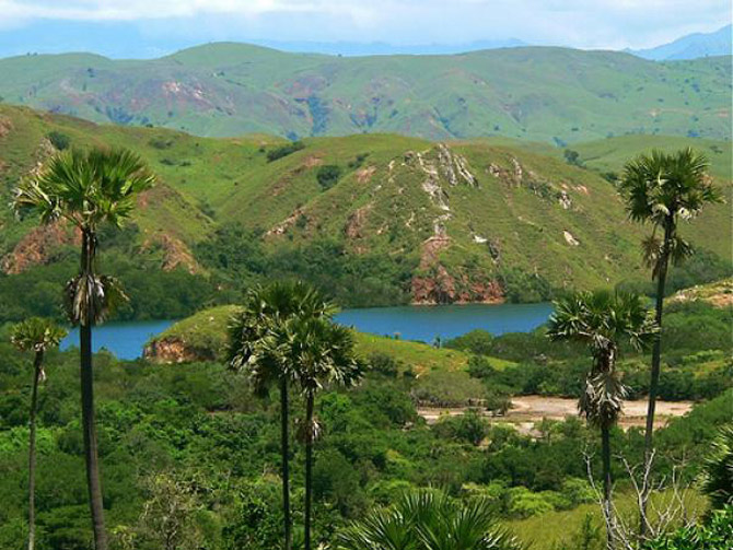 Picture 8 of Komodo National Park - Indonesia