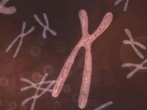 Picture 1 of Korea developed a substance that prevents metastatic cancer