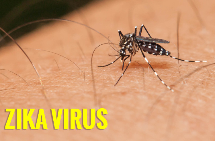 Picture 1 of Korean girl infected with Zika virus after returning from Vietnam