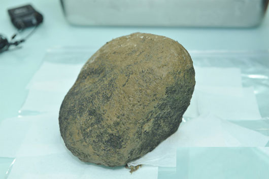 Picture 1 of Koreans flocked to hunt for falling meteors