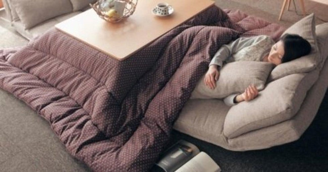 Picture 3 of Kotatsu heater - the best invention of Japanese people