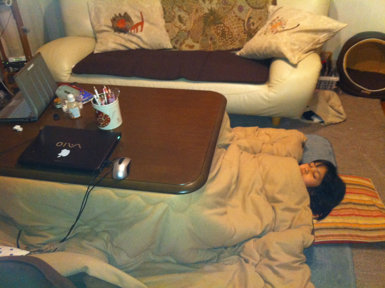 Picture 5 of Kotatsu heater - the best invention of Japanese people