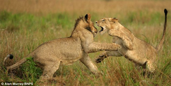 Picture 5 of Kung Fu 's eye training