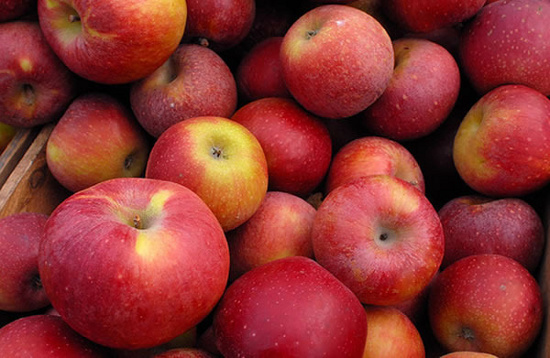 Picture 1 of Lack of oxygen helps fruit break longer