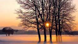Picture 1 of Lack of Vitamin D, men are more likely to get cancer