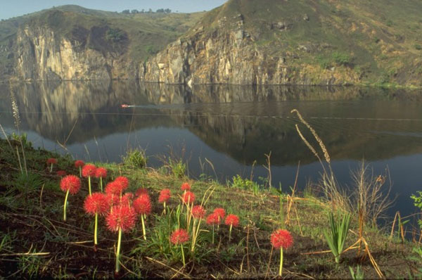 Picture 2 of Lake of death in Cameroon