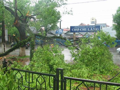 Picture 9 of Lang Son flooded history