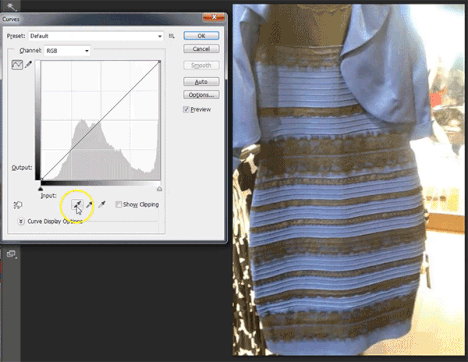 Picture 2 of Latest revealing about the dress that separates the net in the past 2 years