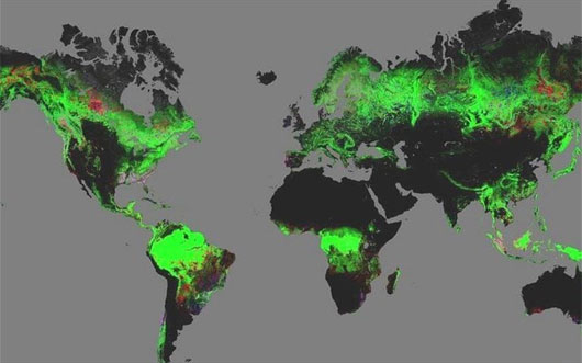 Picture 1 of Launched the first world map of Earth forest area