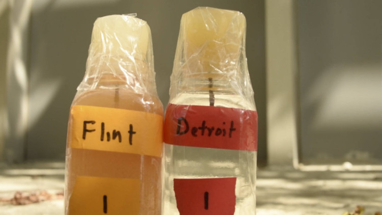 Picture 3 of Lead poisoning water crisis in the US city