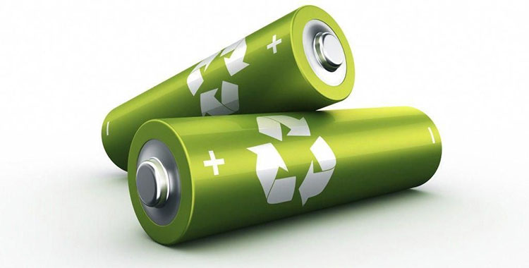 Picture 2 of Learn about bio-batteries - Green energy sources in the future