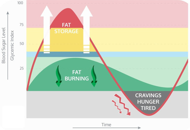 Picture 6 of Learn about carbohydrates, which everyone needs to know