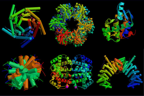 Picture 1 of Learn about diabetes at the molecular level
