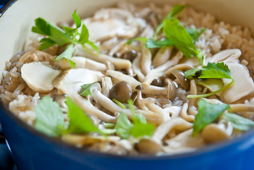 Picture 2 of Learn about exotic mushrooms in Japanese cuisine (2)