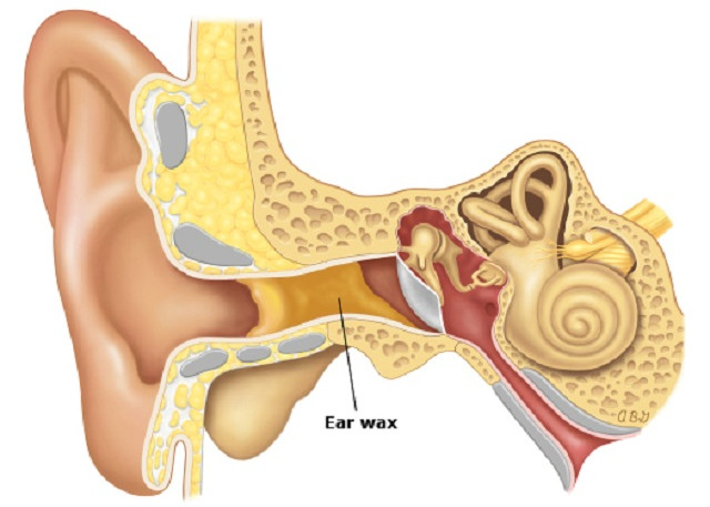 Picture 3 of Learn about 'horror' things in the human body