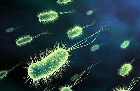 Picture 6 of Learn about 'horror' things in the human body