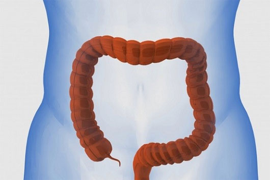 Picture 9 of Learn about 'horror' things in the human body