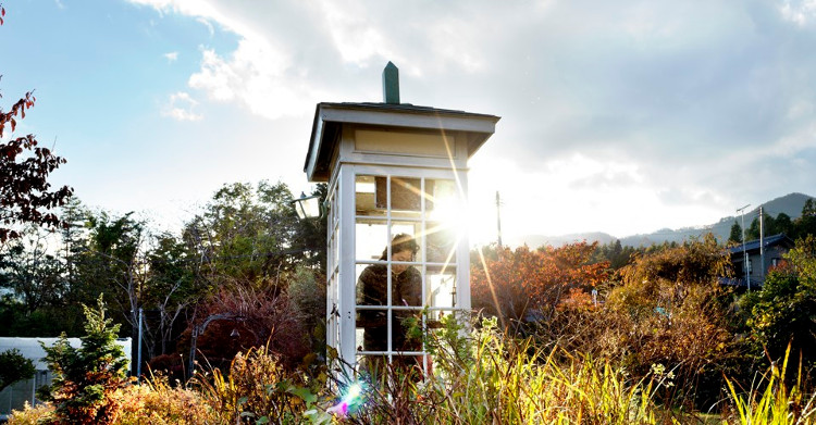 Picture 1 of Learn about phone booths used to call dead people in Japan