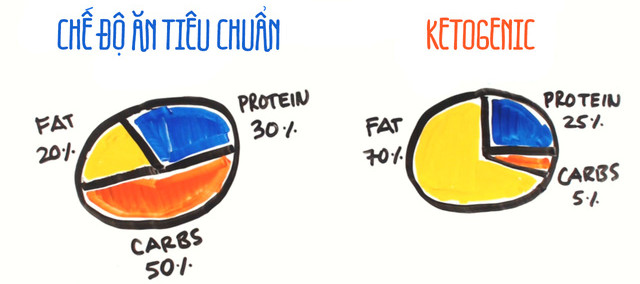 Picture 2 of Learn about the Ketogenic diet that Google users are constantly searching for