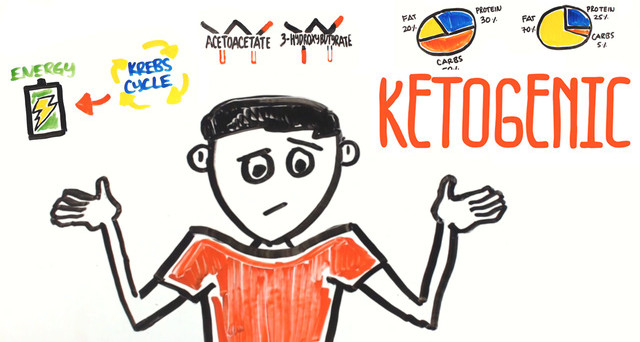 Picture 7 of Learn about the Ketogenic diet that Google users are constantly searching for