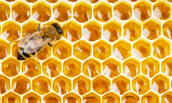 Picture 1 of Learn more about the effect of honey