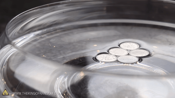 Picture 8 of Learn super fun magic: Make coins float on the water