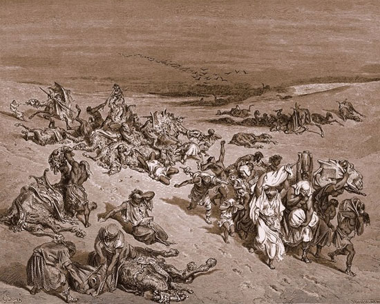 Picture 8 of Learn the disasters that destroyed ancient Egypt