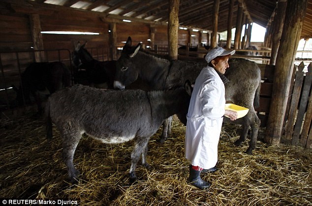Picture 5 of Learn the most expensive cheese on the planet