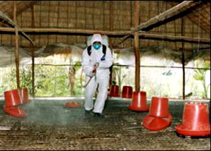Picture 1 of Learn to protect the environment during the flu season