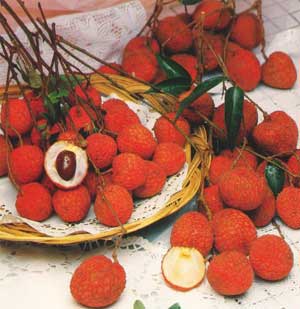 Picture 1 of Leave fresh lychee fruit longer