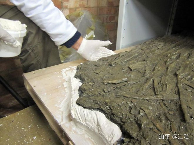 Picture 6 of Leedsichthys: The 'vacuum cleaner' of the Jurassic Sea was once misunderstood as a dinosaur