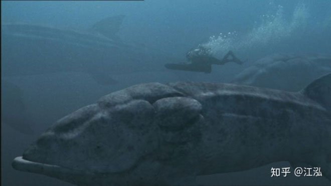 Picture 7 of Leedsichthys: The 'vacuum cleaner' of the Jurassic Sea was once misunderstood as a dinosaur