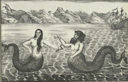 Picture 5 of Legend and reality about fishmen