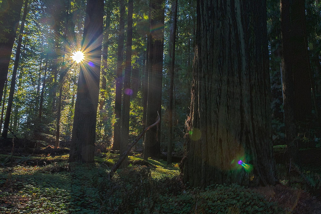 Picture 12 of Lens Flare images create interesting lighting effects