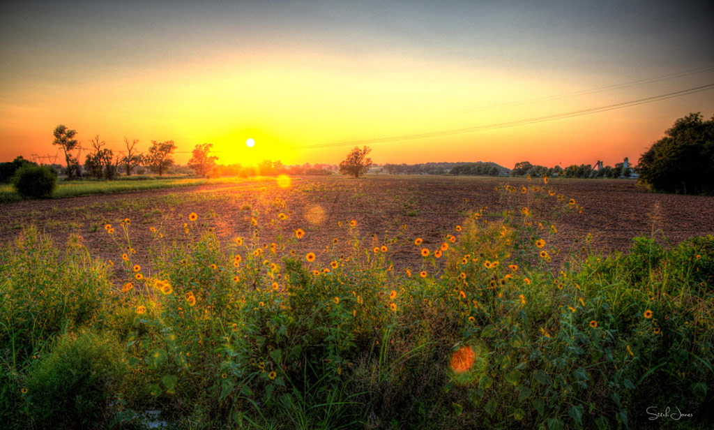 Picture 15 of Lens Flare images create interesting lighting effects