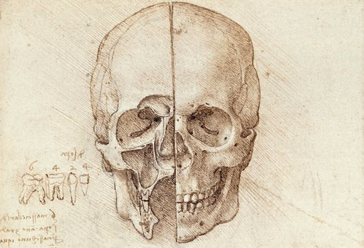 Picture 2 of Leonardo da Vinci: Anatomy scientist
