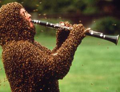 Picture 1 of Let the bee burn every day, out of fear of allergies