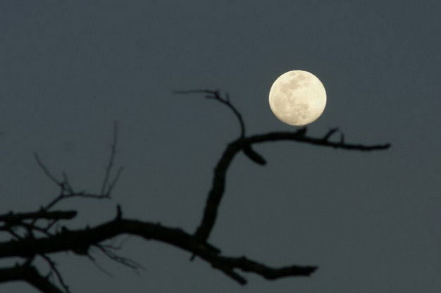 Picture 8 of Let's admire the image of the last super moon of the year