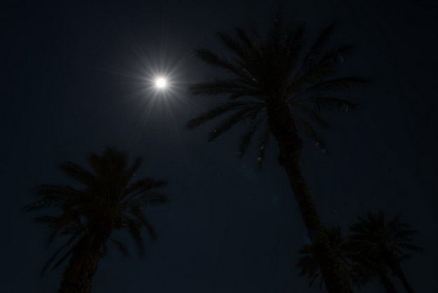 Picture 9 of Let's admire the image of the last super moon of the year