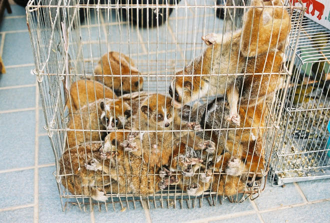 Picture 2 of Lies are real creatures, but people are making them miserable