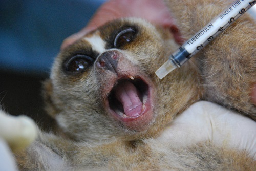 Picture 5 of Lies are real creatures, but people are making them miserable