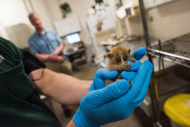 Picture 6 of Lies are real creatures, but people are making them miserable