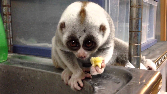 Picture 7 of Lies are real creatures, but people are making them miserable