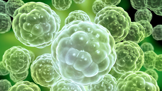 Picture 1 of Life had before Earth formed 5.5 billion years