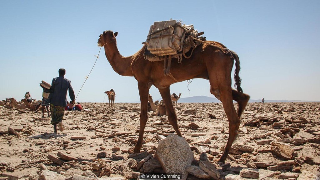 Picture 12 of Life in the hottest land in the world